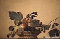 VBS_7860 - La canestra di Caravaggio